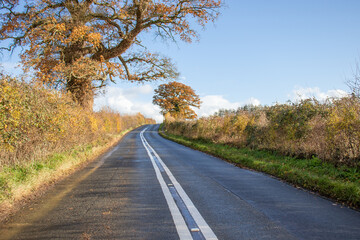 country road in autumn