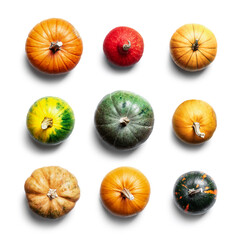 Set of different pumpkins isolated on white background. Image with largest resolution see in my portfolio