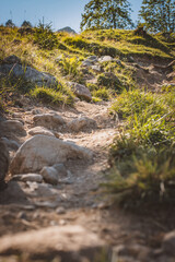 Wandern