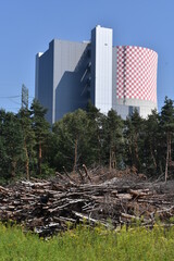 drewno, chrust, opał, Jaworzno, Śląsk © Albin Marciniak