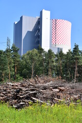 drewno, chrust, opał, Jaworzno, Śląsk © Albin Marciniak