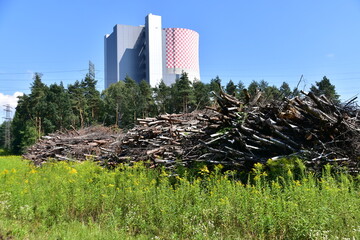 drewno, chrust, opał, Jaworzno, Śląsk © Albin Marciniak