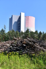 drewno, chrust, opał, Jaworzno, Śląsk © Albin Marciniak