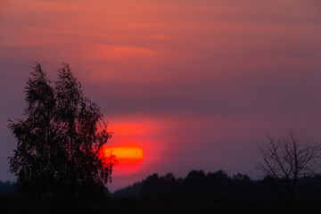 Fototapeta na wymiar Zachód słońca wiosną