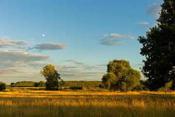 Popołudnie na wsi © KoLesfot