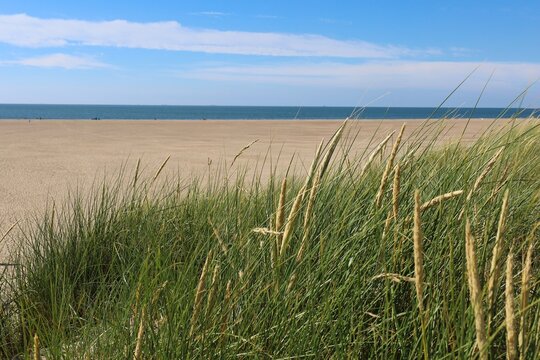 D&uuml;nen mit Strandhafer und Blick auf das Meer
