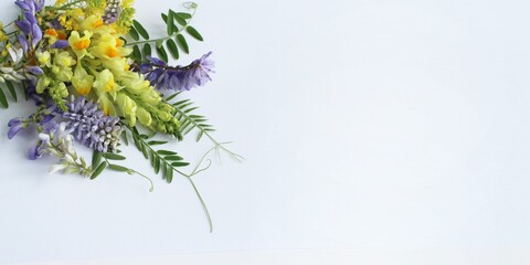 Yellow Snapdragon and lilac bindweed on a white background.  Background for a greeting card.
