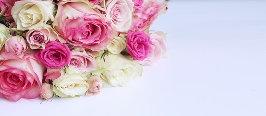 Pink roses in a festive bouquet on a white background. Delicate floral arrangement. Background for a greeting card.
