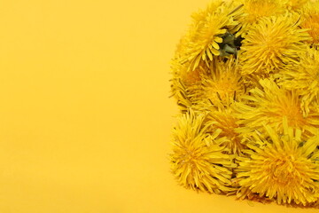 A bouquet of spring dandelions lies on a yellow background.