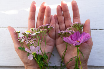 Wild flowers in woman's opened hands