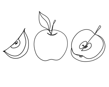 Apple continuous line drawing, Black and white minimalistic linear illustration made of one line