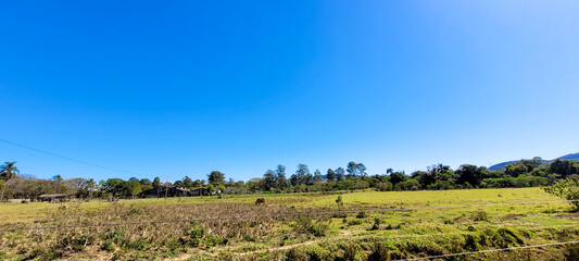 Fototapeta na wymiar farm landscape on a sunny day with green pasture