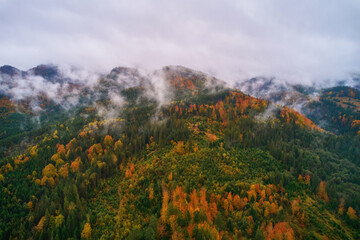 Obraz premium Fog spreads over the mountains at dawn. The sun rises on the horizon. Carpathians in the morning. Aerial drone view.