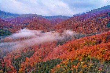 Mountains in clouds at sunrise in summer. Aerial view of mountain peak with green trees in fog. Top view from drone of mountain valley in low clouds