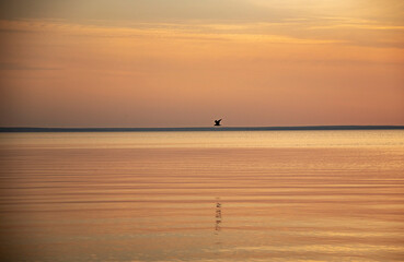 sunset on the sea