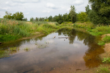 Obraz premium Distributary channel of the river Wisla, Poland