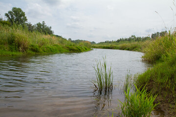 Distributary channel of the river Wisla, Poland
