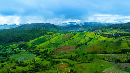 Fototapeta na wymiar Aerial view of Rice terrace at Ban pa bong piang in Chiang mai, Thailand.