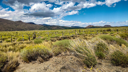 landscape of the mountains