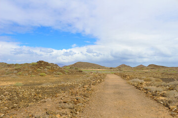 Isla de lobos