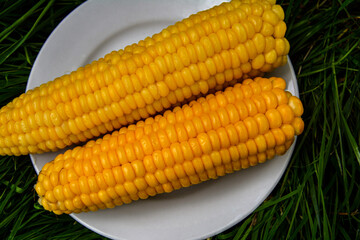 Sweet boiled corn with salt sugar and butter lying.