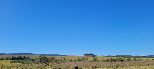 farm landscape on a sunny day with green pasture