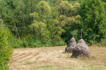 Pile of hay near the forest