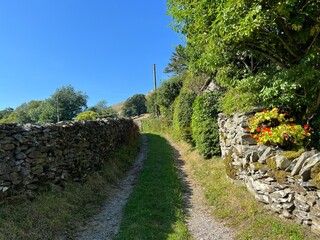 Evening shadows, over a cart track, with  dry stone walls, flowers, old trees, and a blue sky near, White Stone Lane, Austwick, UK