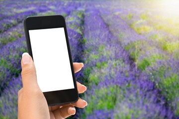 Farmer's holds a smartphone on a background of a field with a plantation. Scientific research.