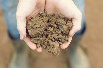 Nahaufnahme der Hand hält Erde