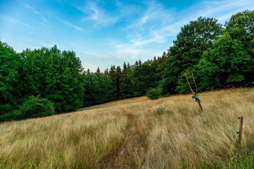 Sommerliche Entdeckungstour durch den Thüringer Wald bei Brotterode - Thüringen