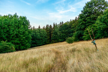 Obraz premium Sommerliche Entdeckungstour durch den Thüringer Wald bei Brotterode - Thüringen
