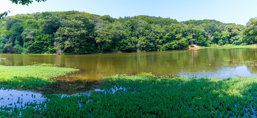 Fototapeta premium Valide Sultan lake in Belgrad Forest in Istanbul. Turkey. Holiday Destinations In Turkey.