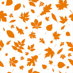 autumn seamless white background with leaves, vector