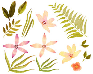 watercolor tropical flowers and leaves