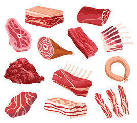 Meat products and raw meat. Illustration for concept product of farmers market or shop. Different kind of meat. Cartoon product icons