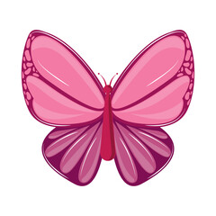 butterfly nature animal