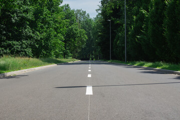 Obraz premium Highway through summer park forest. Bright green foliage of the trees beside of an asphalt road going in the upward.