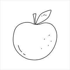 Full apple in a cute doodle style. Vector element in black line isolated on a white background