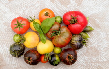 tomatoes multicolored  close-up with a sprig of basil on a gray background selective focus
