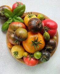 tomatoes multicolored on a wooden plate close-up with a sprig of basil on a gray background selective focus