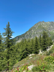 Mont Blanc in Chamonix, France