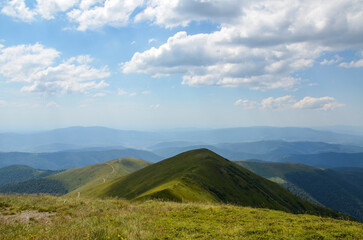 Fototapeta premium Beautiful summer panoramic landscape, green grassy slopes with wild herbs and flowers on Borzhava mountain ridge in summer. Carpathians, Ukraine