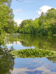 Green summer in Sokolniki Park