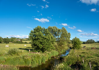 river ourthe occidentale in belgian ardennes region in summer under blue sky