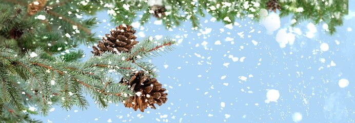 Christmas tree branch with cone on snowy blue bakcground copy space template banner