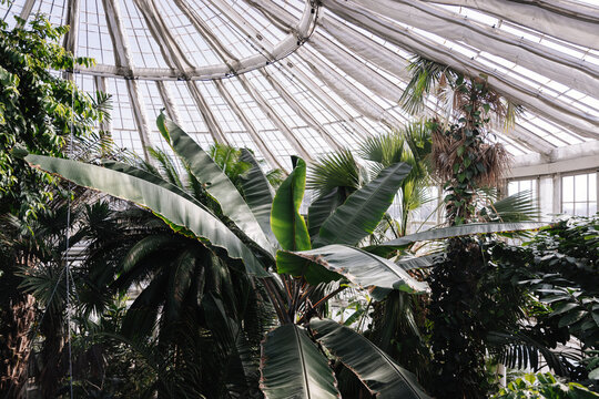 Gew&auml;chsh&auml;user im Botanischen Garten Kopenhagen 