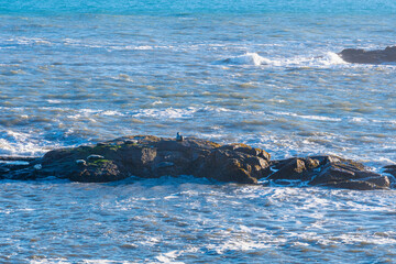 Obraz premium Stokksnes unglaubliche Schönheit, zwischen Meer und Vestrahorn Bergen