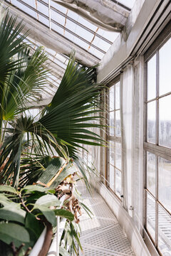 Gew&auml;chsh&auml;user im Botanischen Garten Kopenhagen 