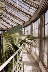 Gew&auml;chsh&auml;user im Botanischen Garten Kopenhagen 